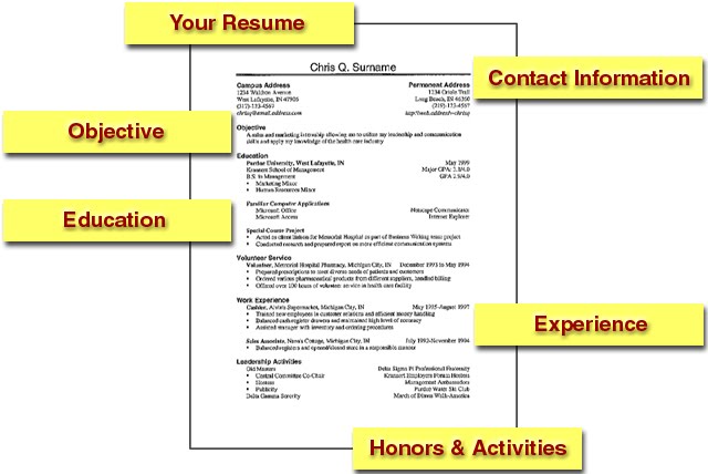 Definition of cv resume